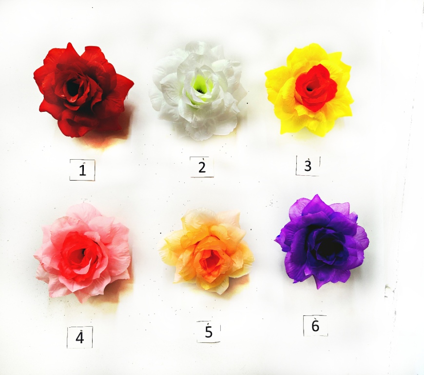 51066_2_.jpg