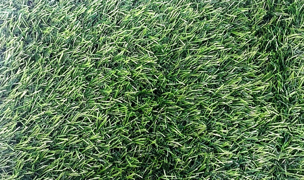 20220825_163939.jpg