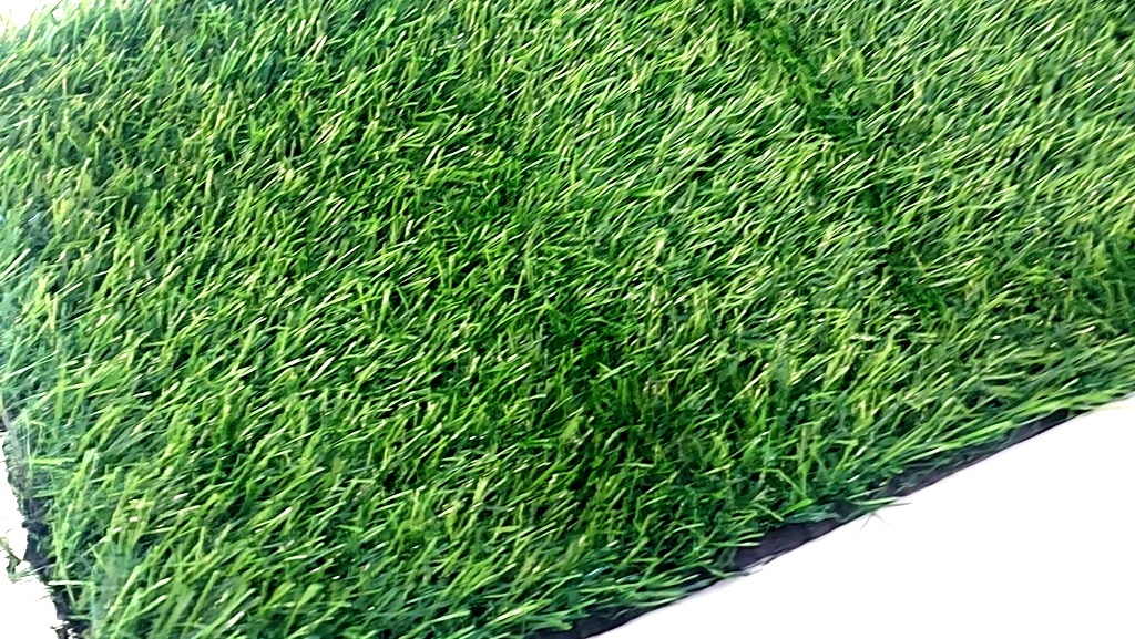 20220825_163950.jpg